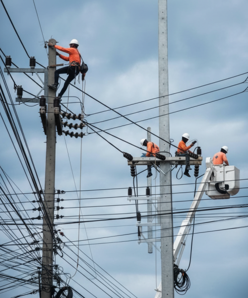 Whisk_999727456cefa489ce74cf7b254d435fdr